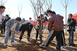 木多乃成森，春辉共筑林——bat365在线登录网站3月12日植树节全员在行动